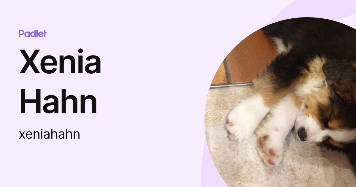 Xenia Hahn (xeniahahn) profile | Padlet