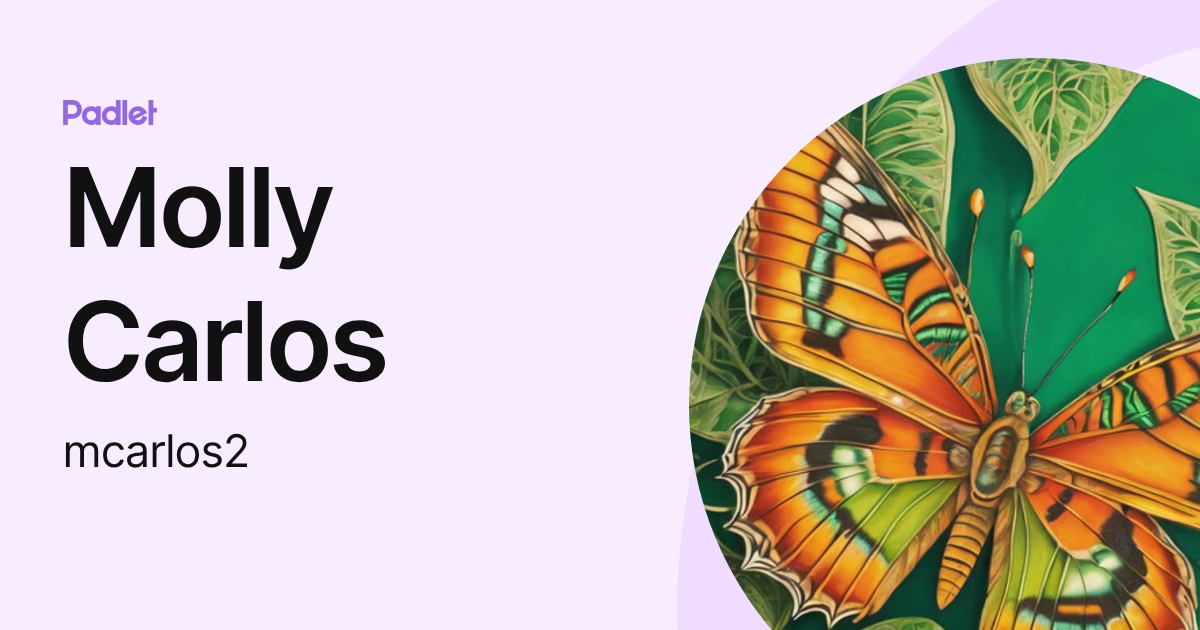 Molly Carlos (mcarlos2) profile | Padlet
