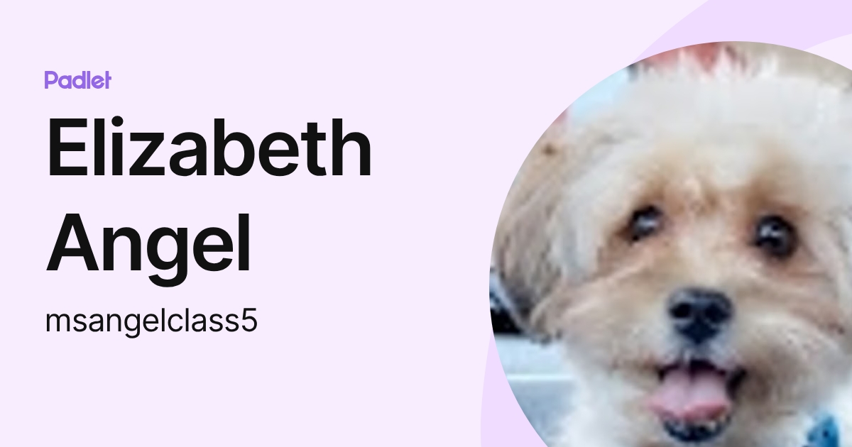 Elizabeth Angel (msangelclass5) profile | Padlet