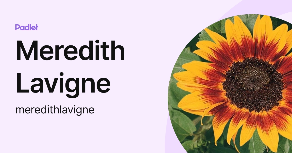 Meredith Lavigne (meredithlavigne) profile | Padlet