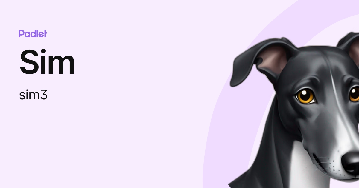 Sim (sim3) profile | Padlet