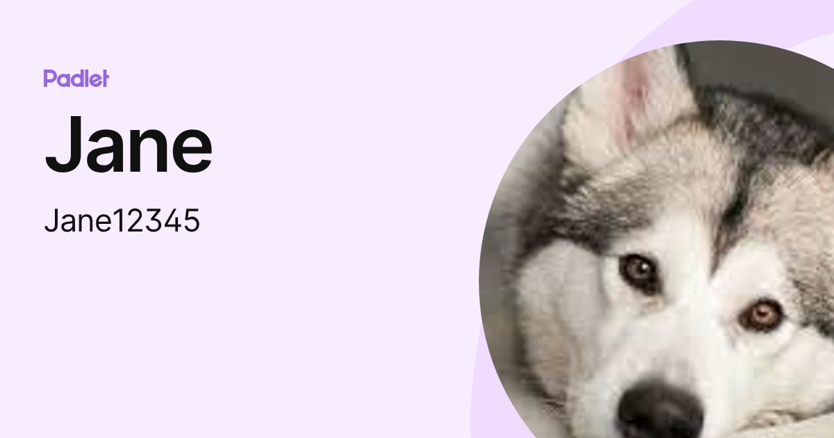Jane (Jane12345) profile | Padlet
