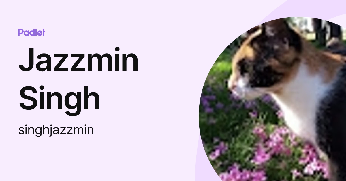 Jazzmin Singh (singhjazzmin) profile | Padlet