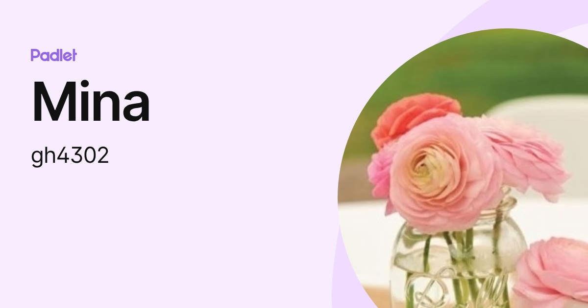 Mina (gh4302) profile | Padlet