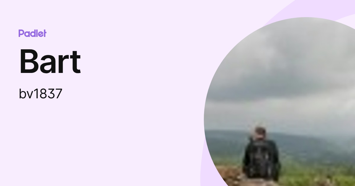 Bart (bv1837) profile | Padlet