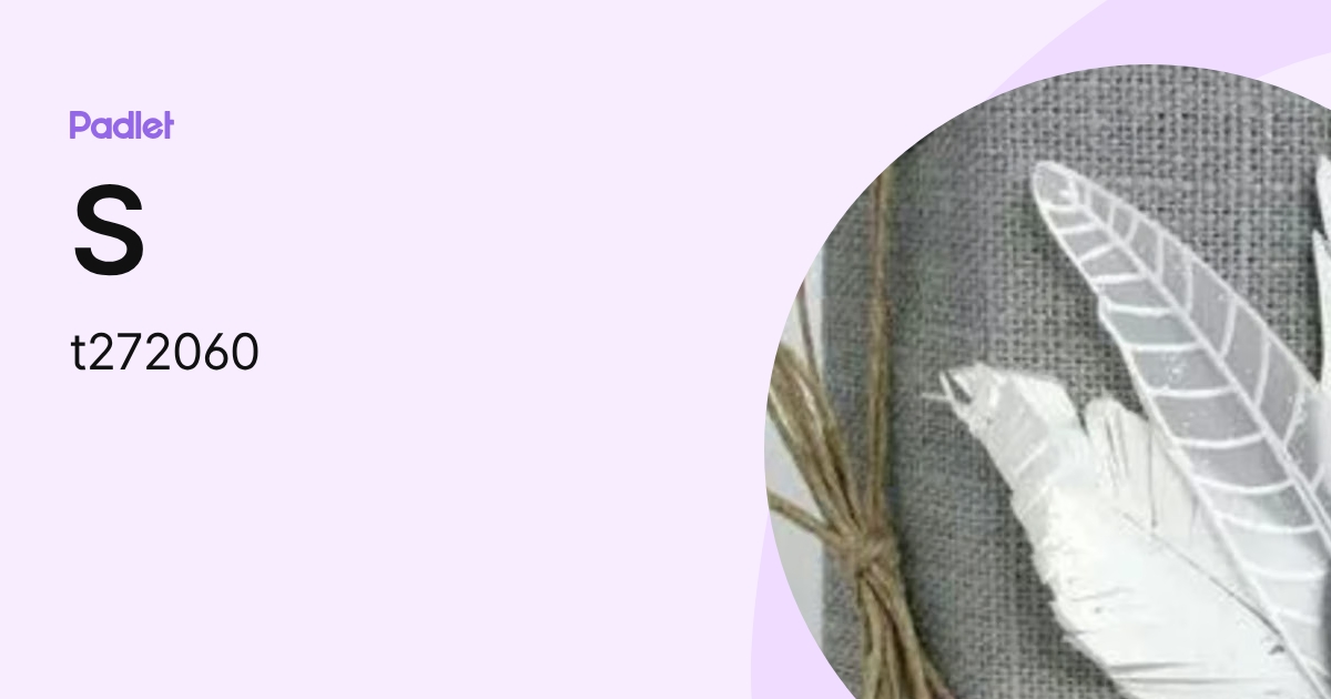 S (t272060) profile | Padlet
