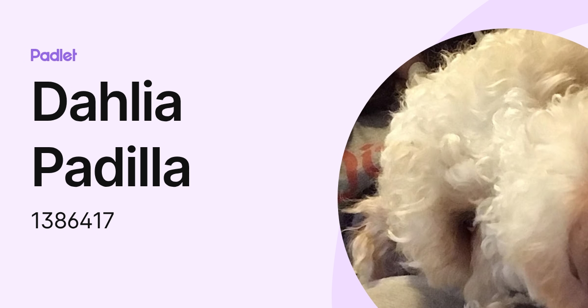 Dahlia Padilla (1386417) profile | Padlet