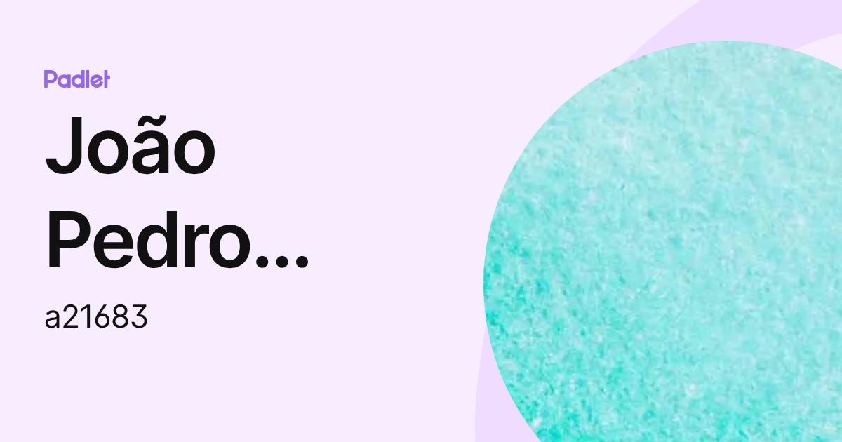 João Pedro Xavier Pereira (a21683) profile | Padlet