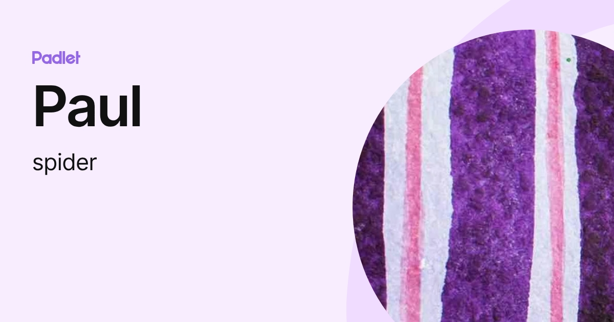 Paul (spider) profile | Padlet