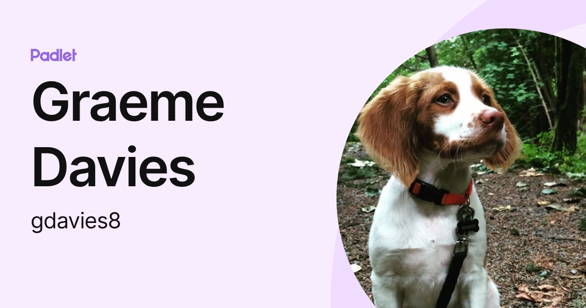 Graeme Davies (gdavies8) profile | Padlet