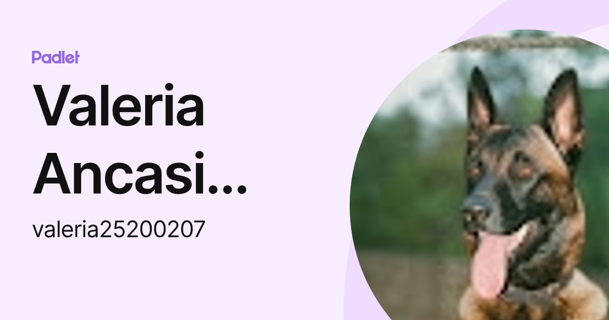 Valeria Ancasi Sanchez (valeria25200207) profile | Padlet