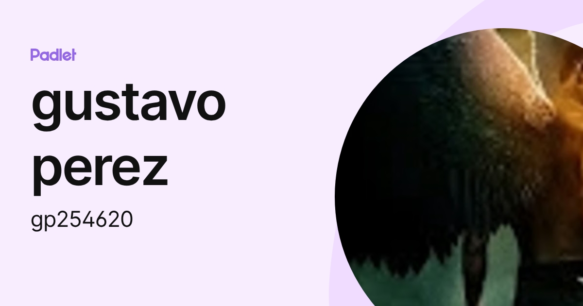 gustavo perez (gp254620) profile | Padlet