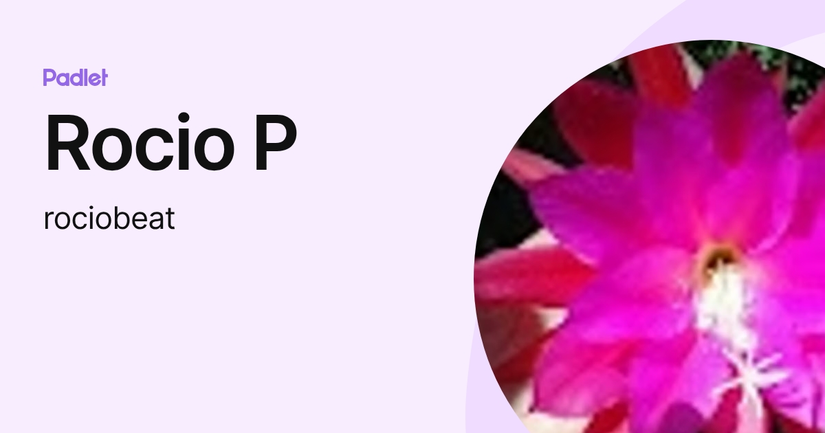 Rocio P (rociobeat) profile | Padlet