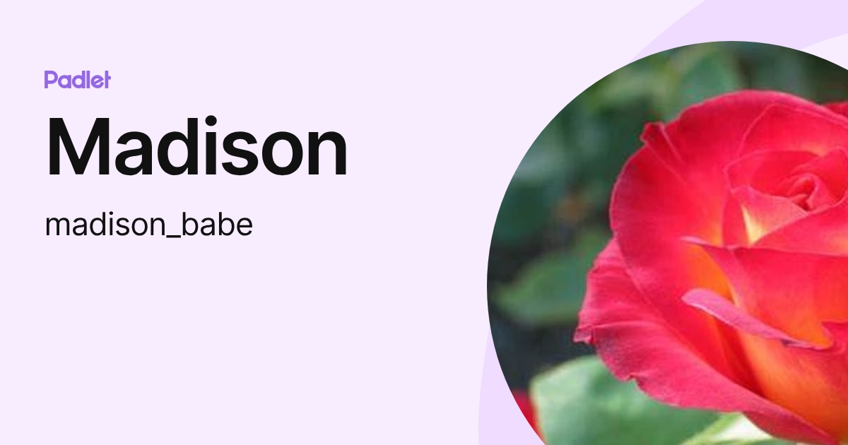 Madison (madison_babe) profile | Padlet