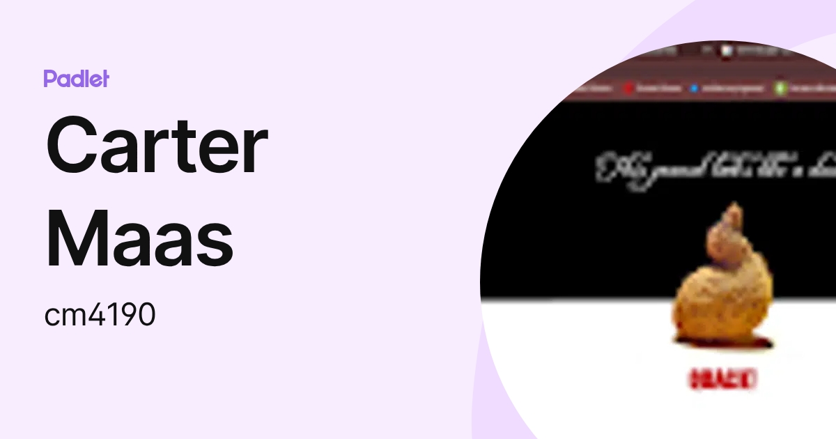 Carter Maas (cm4190) profile | Padlet