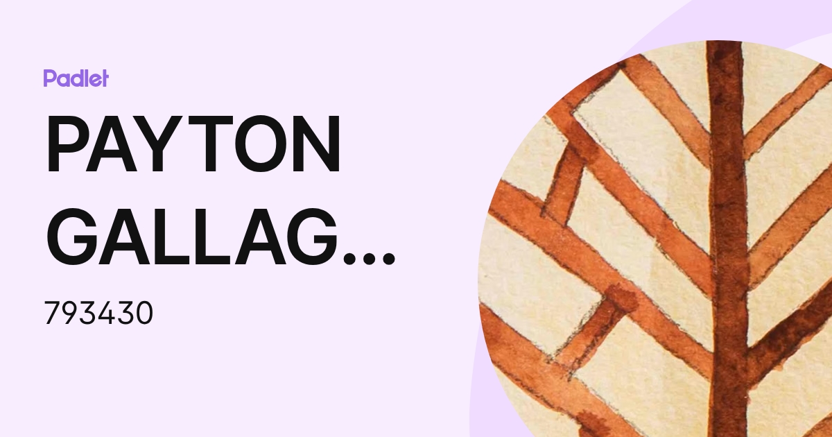 PAYTON GALLAGHER (793430) profile | Padlet