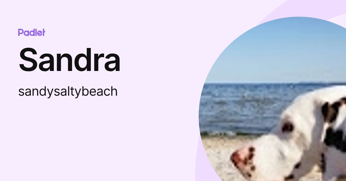 Sandra (sandysaltybeach) profile | Padlet