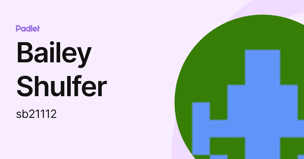 Bailey Shulfer (sb21112) profile | Padlet