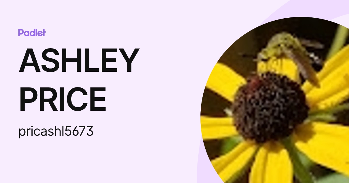 ASHLEY PRICE (pricashl5673) profile | Padlet