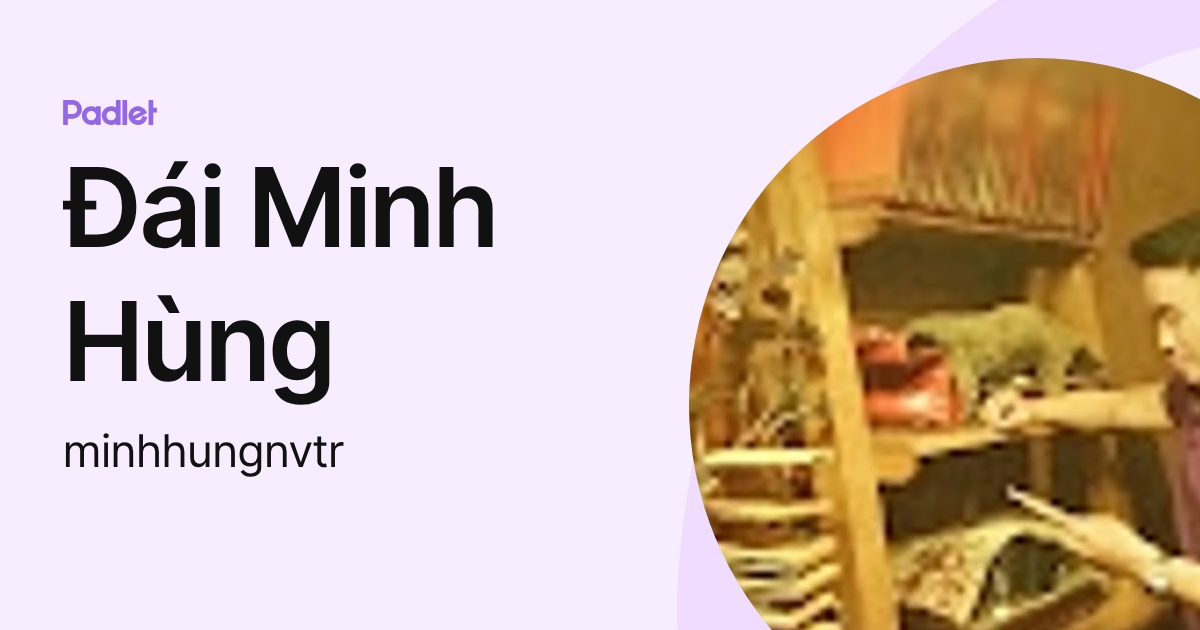 Đái Minh Hùng (minhhungnvtr) profile | Padlet