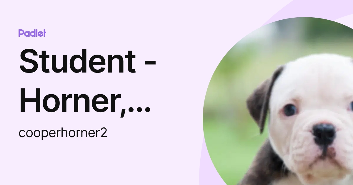Student - Horner, Cooper M. (cooperhorner1) profile | Padlet