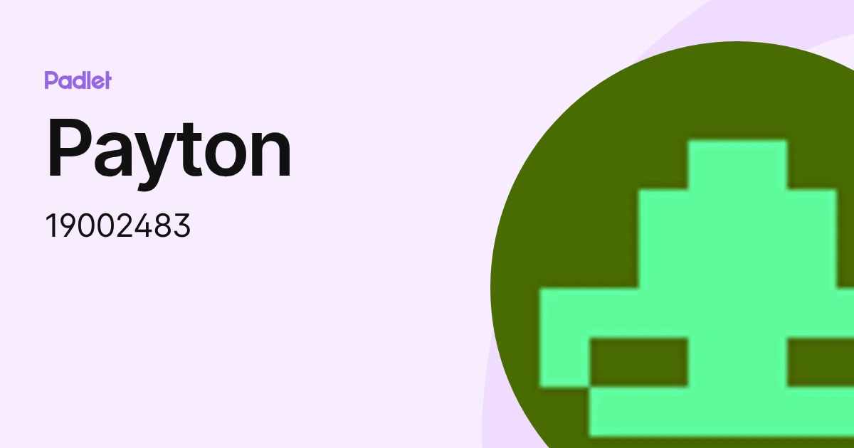 Payton (19002483) profile | Padlet