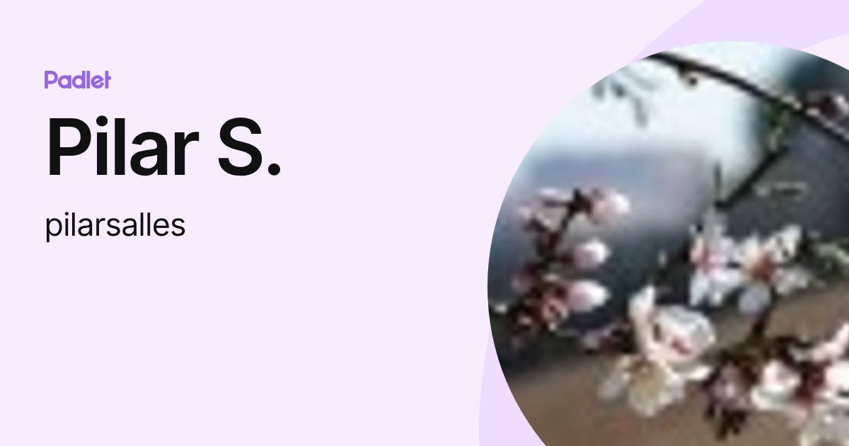 Pilar S. (pilarsalles) profile | Padlet