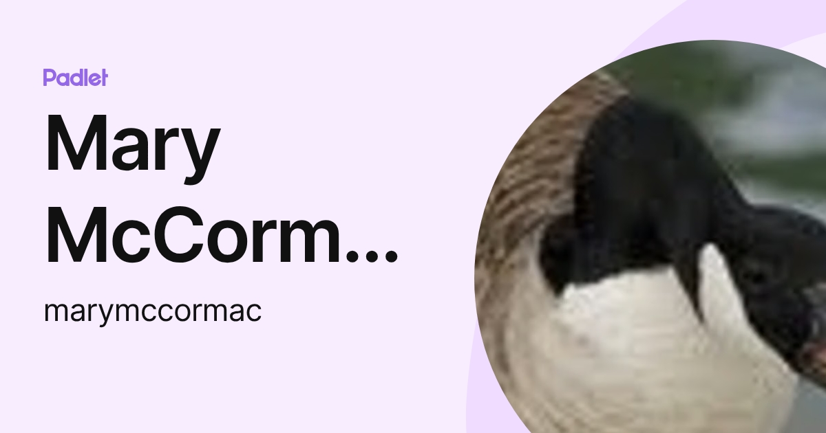 Mary McCormac - DNR (marymccormac) profile | Padlet