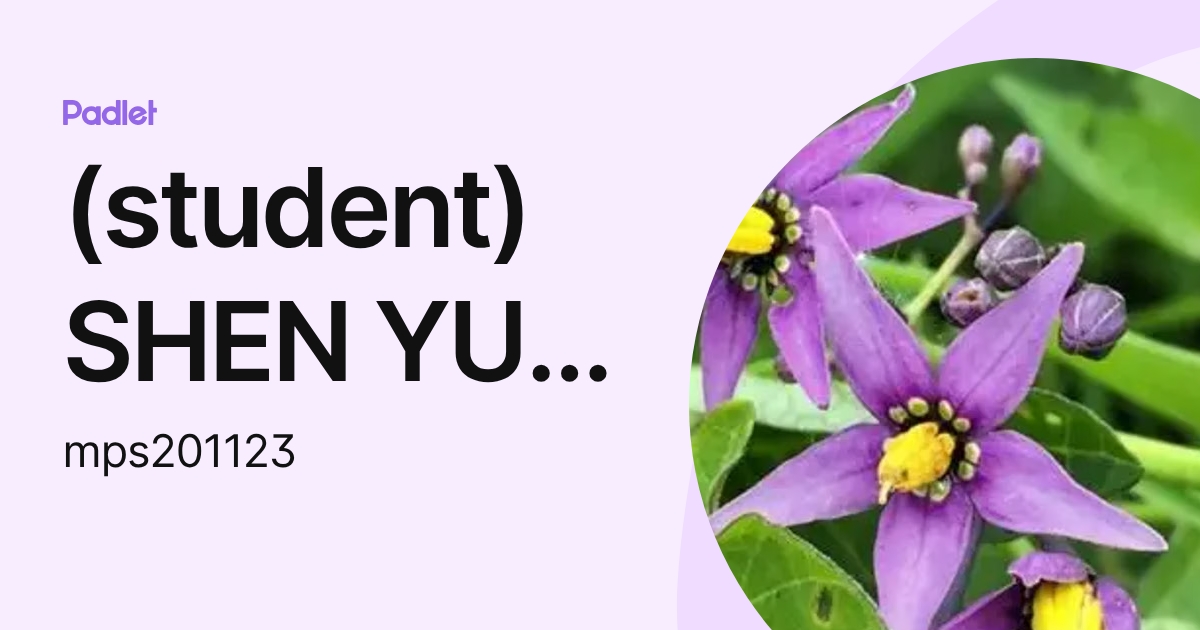 (student) SHEN YU LOK (mps201123) profile | Padlet