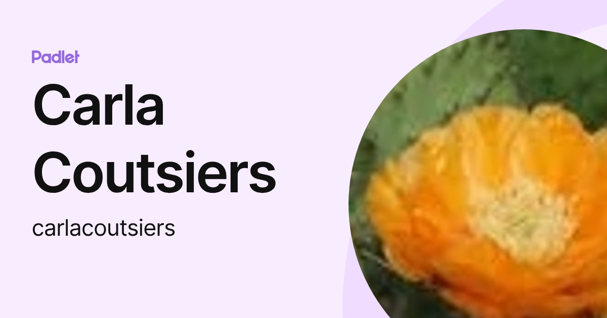 Carla Coutsiers (carlacoutsiers) profile | Padlet