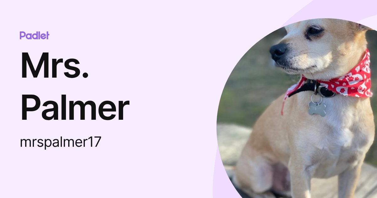 Mrs. Palmer (mrspalmer17) profile | Padlet