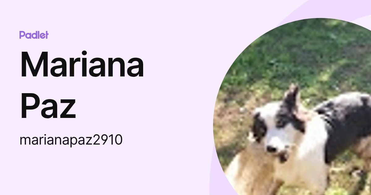 Mariana Paz (marianapaz2910) profile | Padlet