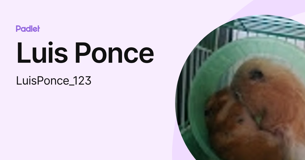 Luis Ponce (LuisPonce_123) profile | Padlet