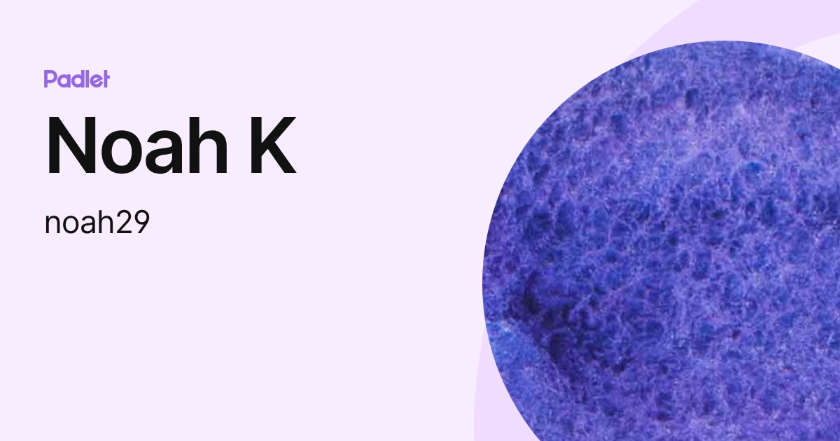 Noah K (noah29) profile | Padlet