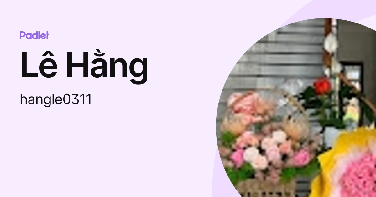 Lê Hằng (hangle0311) profile | Padlet