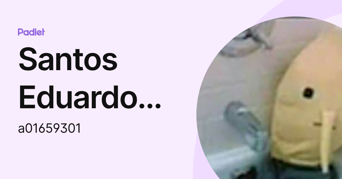 Santos Eduardo Flores Lozano (a01659301) profile | Padlet