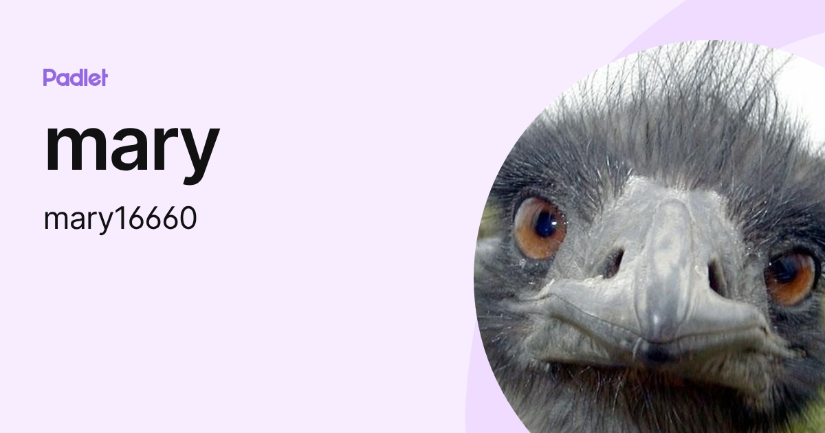 mary (mary16660) profile | Padlet
