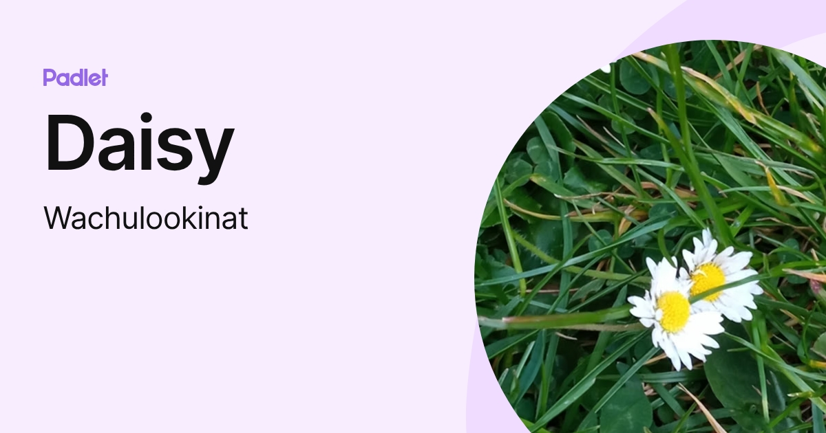Daisy (Wachulookinat) profile | Padlet
