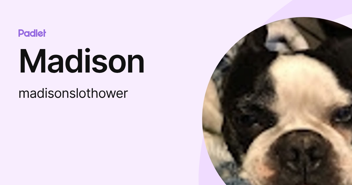 Madison (madisonslothower) profile | Padlet
