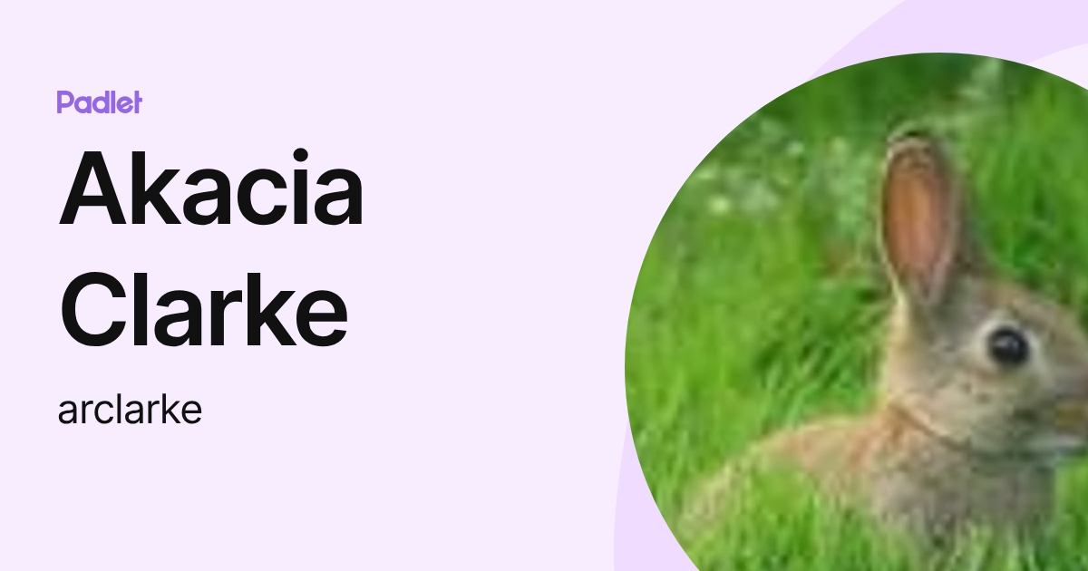 Akacia Clarke (arclarke) profile | Padlet
