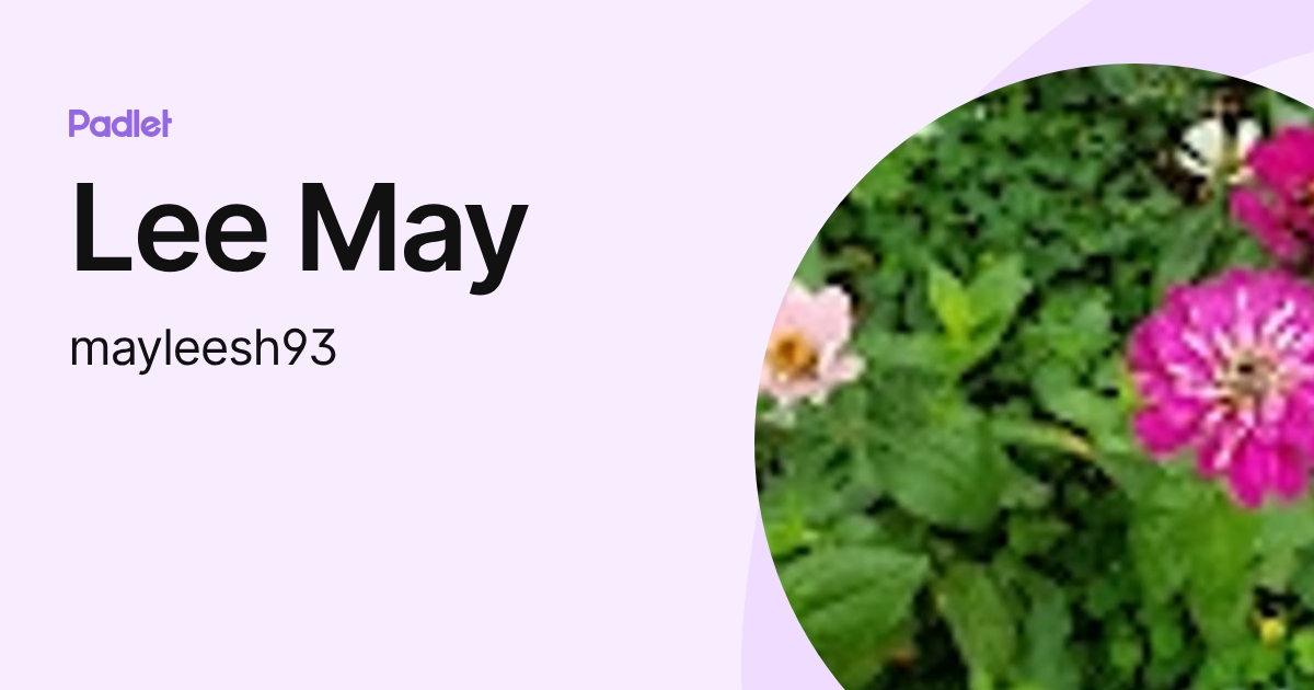 Lee May (mayleesh93) profile | Padlet