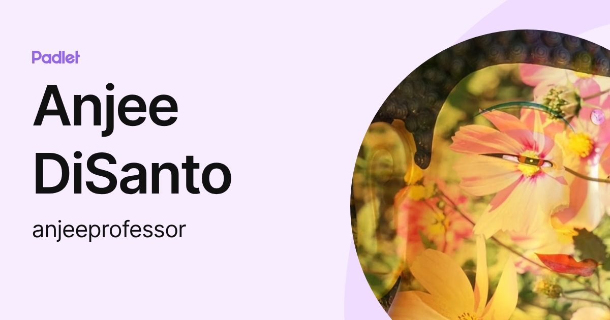 Anjee DiSanto (anjeeprofessor) profile | Padlet