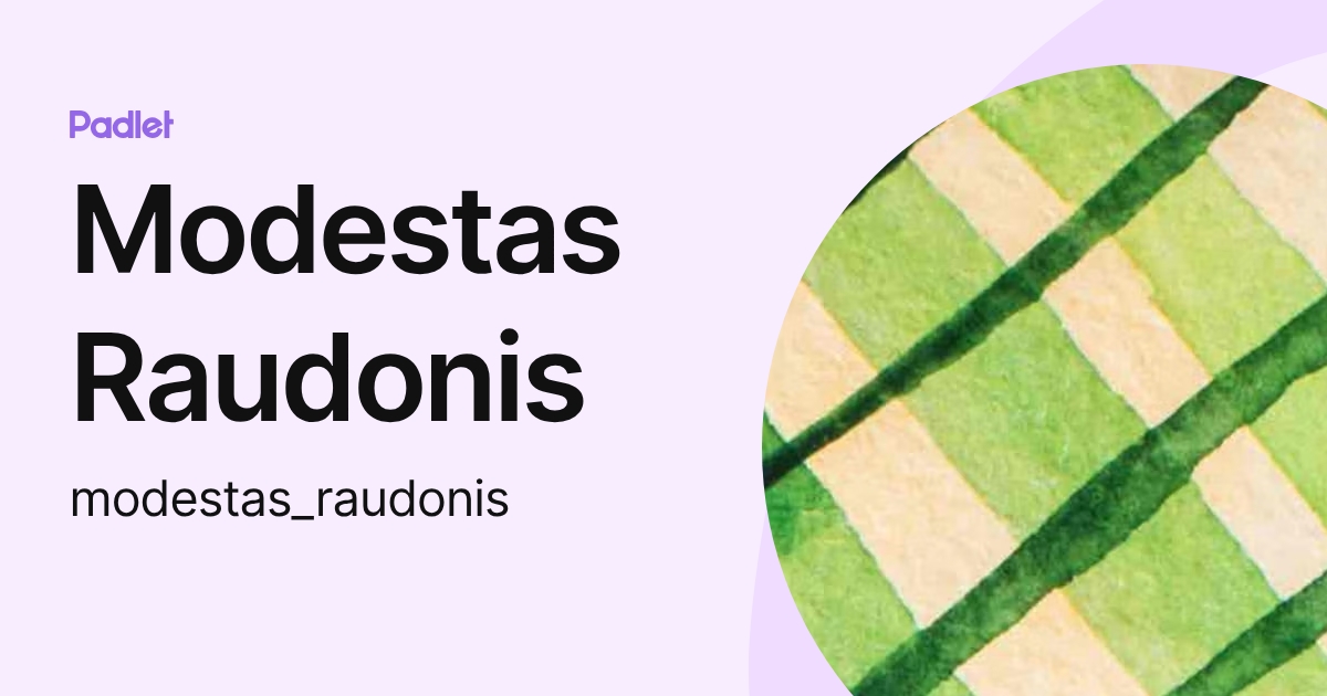 Modestas Raudonis (modestas_raudonis) profile | Padlet